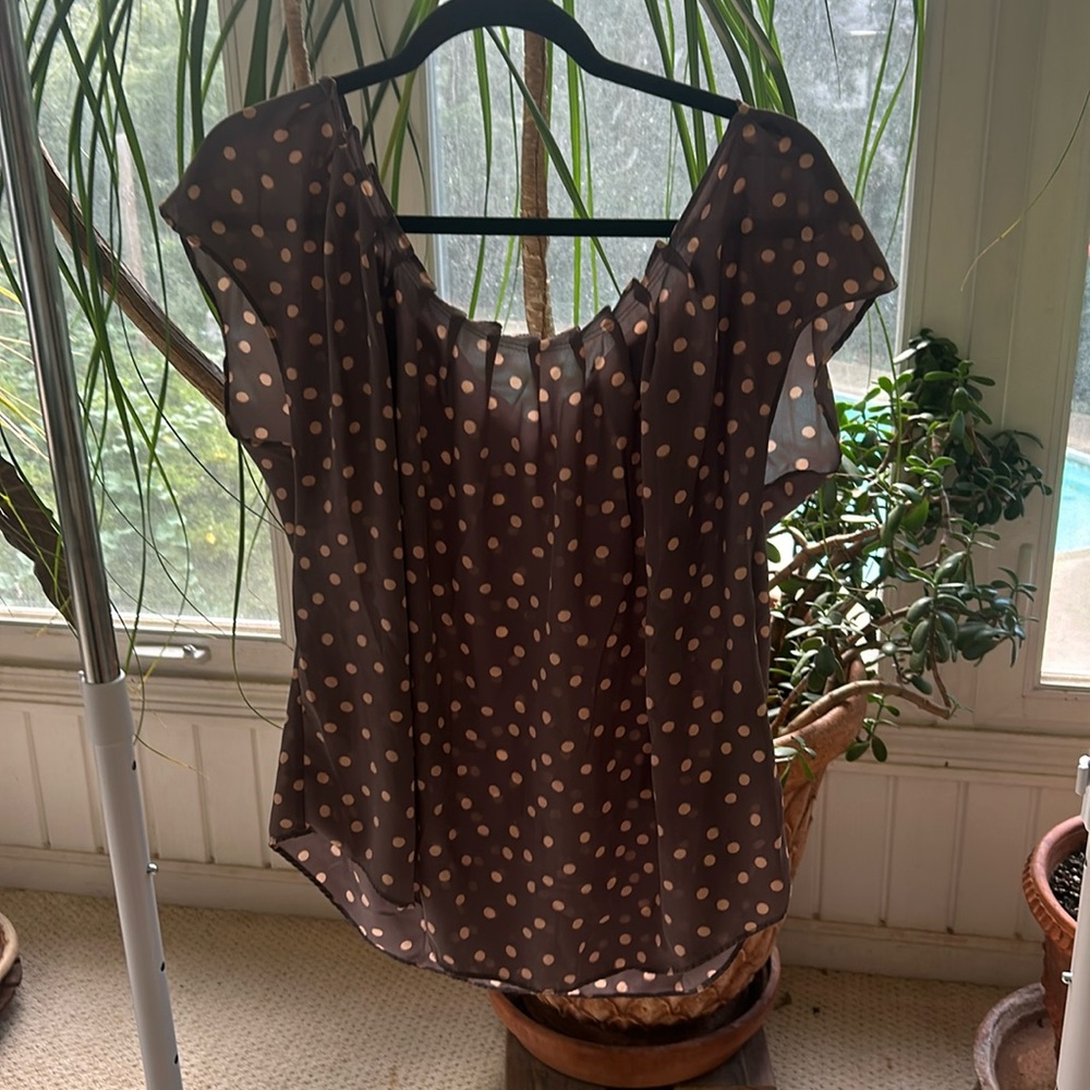 Lauren Conrad, Size Large